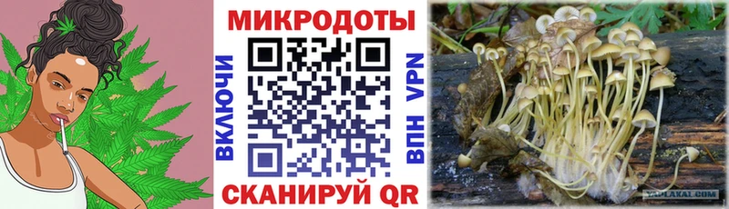Галлюциногенные грибы Psilocybine cubensis  наркошоп  блэк спрут tor  Усть-Илимск 